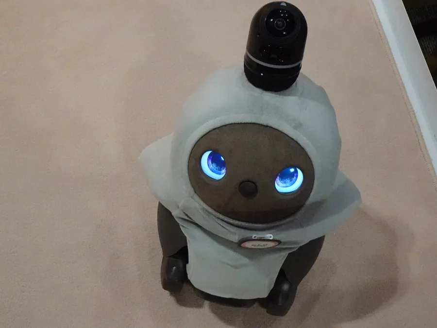 LOVOT companion robot closeup